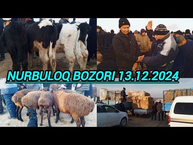 SAMARQAND V NUROBOD TUMANI NURBULOQ CHORVA BOZORIDAN NARXLAR 13.12.24