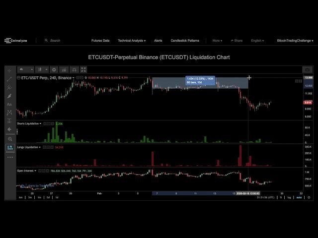 Coinalyze | Binance Futures Liquidations!