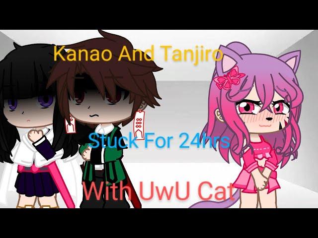 Tankana Stuck for 24hrs with UwU Cat~a little Cringe~(Demon Slayer)