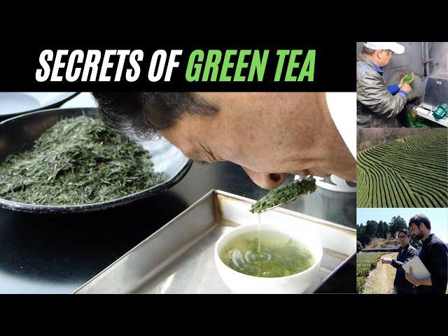 Secrets of Shizuoka Tea: Exploring Japan's Largest Tea Region