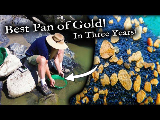 Best Single Gold pan in Three Years!  WOW!