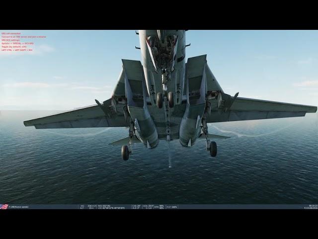 DCS toxic jester