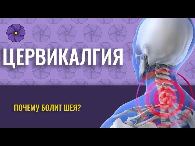 ЦЕРВИКАЛГИЯ. ПОЧЕМУ БОЛИТ ШЕЯ?