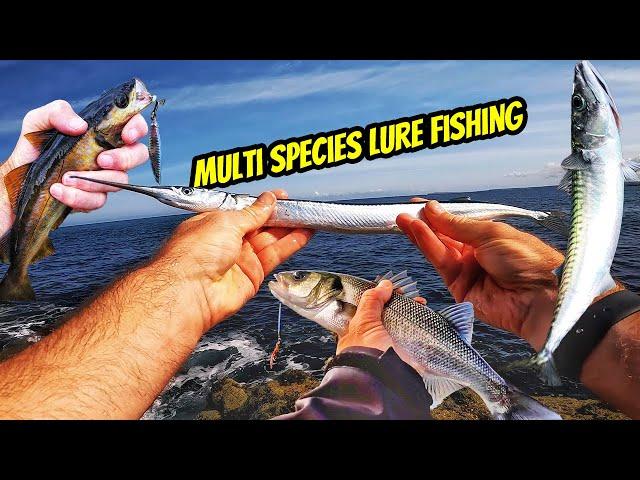 Multi Species Lure Fishing in Cornwall. How to catch Bass, Pollack, Mackerel & Needle Fish!