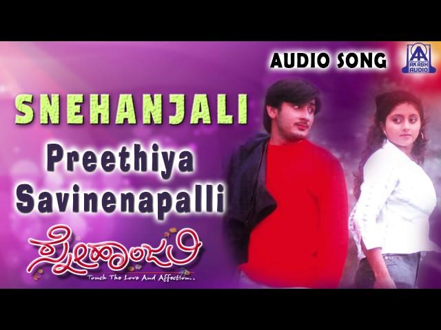 Snehanjali | "Preethiya Savinenapalli " Audio Song | Dhruv,Anju Varma | Akash Audio