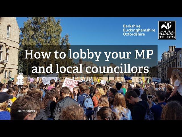 How to lobby your MP and local councillor