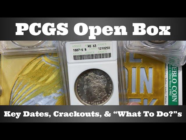 PCGS Open Box - Key Dates, Crackouts, & "What To Do?"s - DMPL CC Morgan?