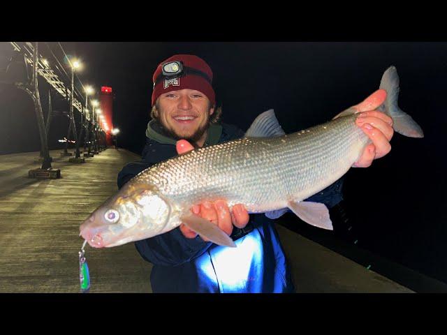 Pier Fishing Lake Michigan WHITEFISH! {Vertical Jigging}