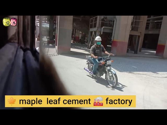  Maple leaf cement factory / inside maple leaf cement factory / visit maple leaf cement factory