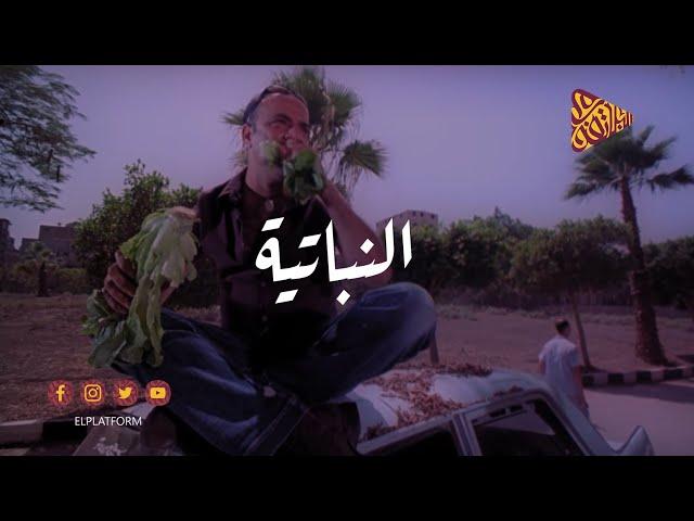 البلاتفورم - النباتية