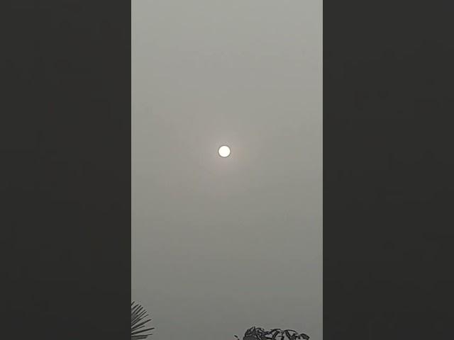 Sun At Afternoon: High Fog, Cool Weather  Demand of Sunlight  Winter Fantasy  Woow