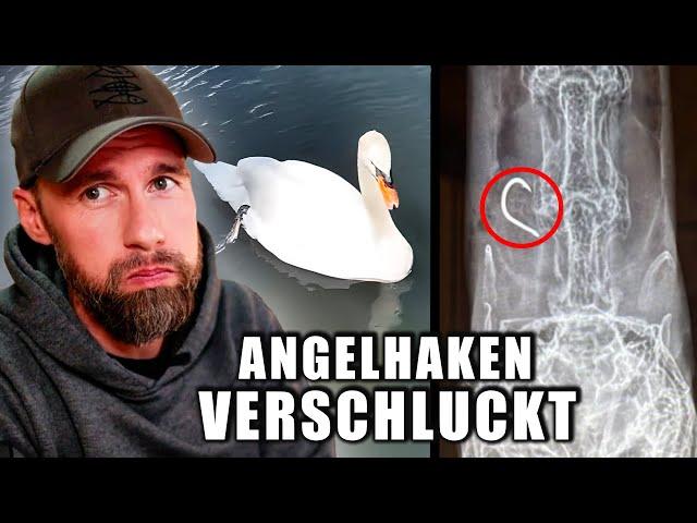 SCHWAN STIRBT DURCH ANGELHAKEN! Tiernotruf und Mission Erde retten Küken | Robert Marc Lehmann