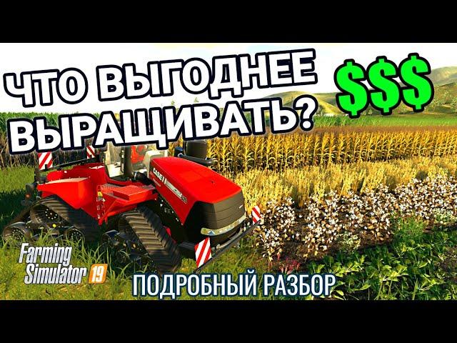 Что выгоднее всего выращивать | Подробный разбор | Farming Simulator 19