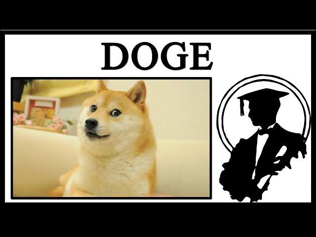 Rest In Peace, Doge