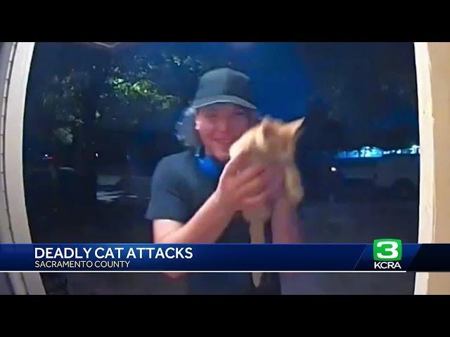 Sacramento deputies ask for help to catch cat killer