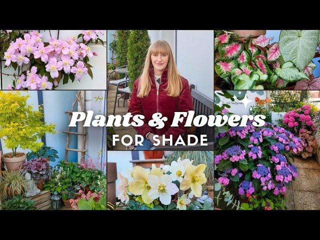 10 Plants & Flowers For a Shade Container Garden