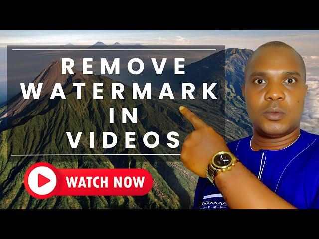 How To Remove Watermark In Image And Video 2023 — Easy Method