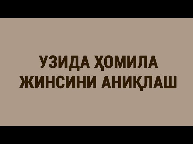 УЗИда ҳомила жинсини аниқлаш