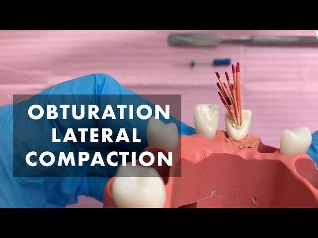 Preclinical laboratory demonstration - obturation - lateral compaction