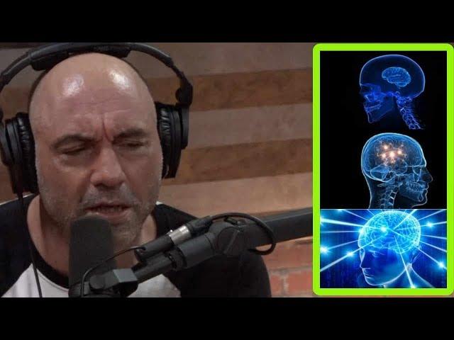 Joe Rogan on How to Be a Smarter Person