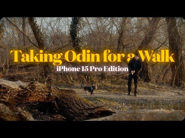 Taking Odin for a Walk | iPhone 15 Pro Max Test Footage