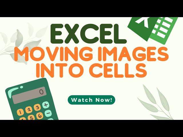 How To Move An Image Into A Cell In Microsoft Excel - Putting Image In Cell - Add Picture Into Cell