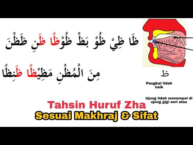 Huruf ظ Dibaca Jahr, Rokhowah, Isti'la & Ithbaq, Belajar Huruf Zha