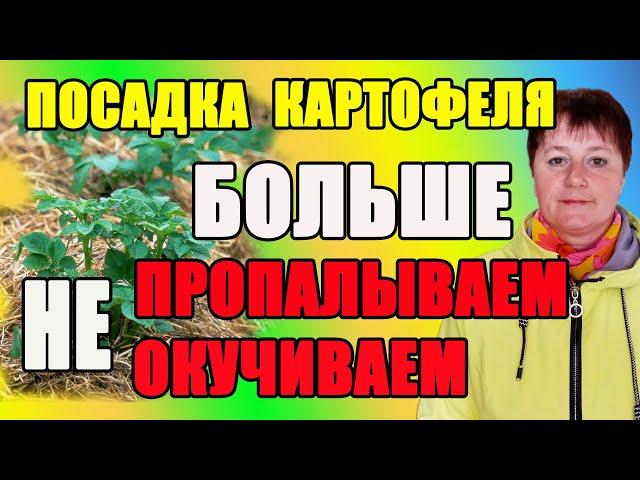 1.Как сделать землю плодородной  и мягкой. 2. Больше не окучиваем и не пропалываем картофель .