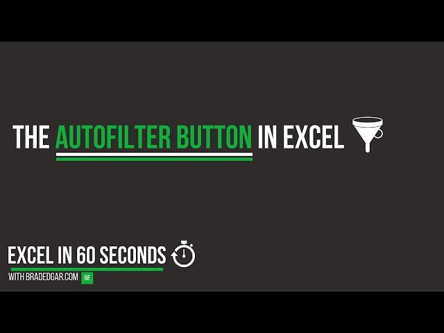 The AutoFilter Button in Excel