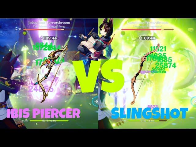 Ibis Piercer vs Slingshot for Tighnari, What is the Best Weapon? | Genshin Impact Spiral Abyss 3.7