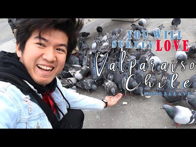 VALPARAISO CHILE REACTION (MY FAVORITE PLACE)