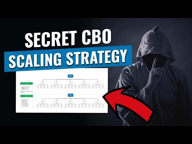 Facebook Ads 2024 | Our secret CBO scaling strategy