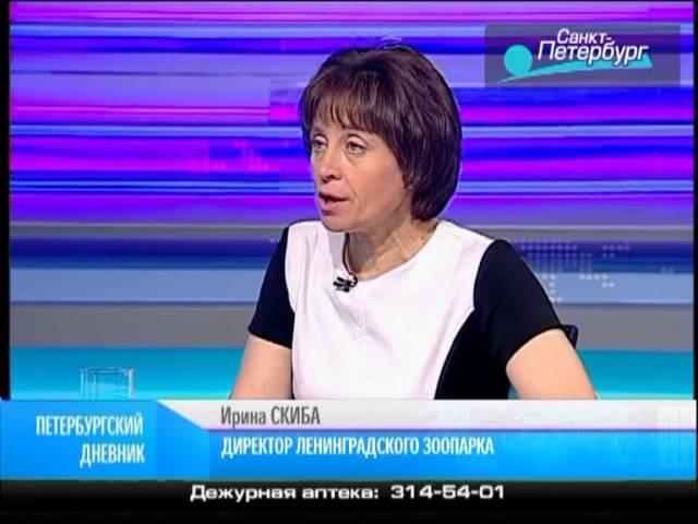 "Петербургский дневник" от 15 июля 2013 года