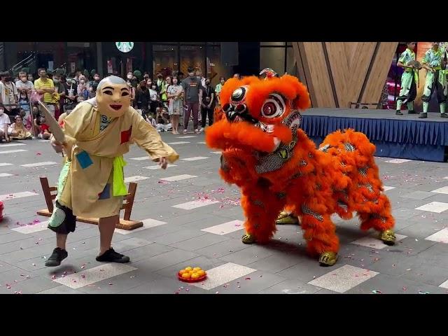 【2023 馬來西亞龙狮节大汇演】World Dragon & Lion Dance Extravaganza (Msia)~ Huati Lion Dance 新街場華體 大头佛与舞狮表演 #6