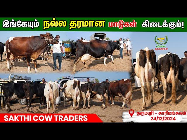 நல்ல breed மாடு..டாப் குவாலிட்டி மாடு எடுத்துக்கலாம் வாங்க! #cow market #vivasayaarvalargal #cowfarm