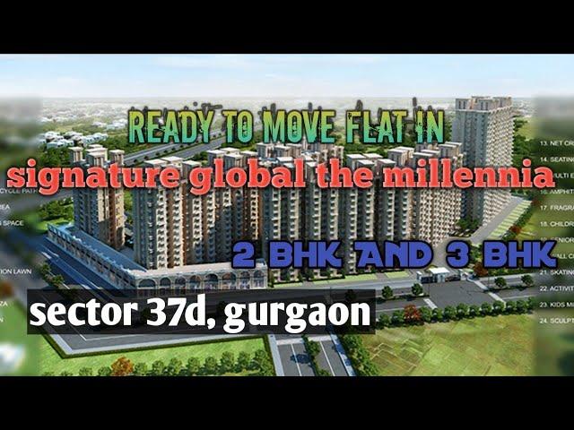 affordable housing , signature global the millennia, sector 37d, gurgaon,#property