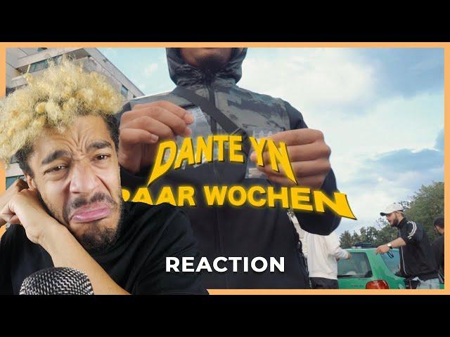 Vielversprechender NEWCOMER!   Dante YN - Paar Wochen | REACTION