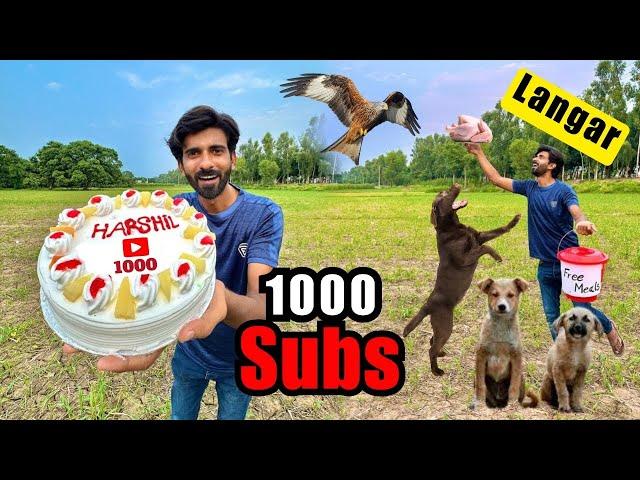 Fan K 1000 Subscribers Done! Stray Dogs K Sath Party! 