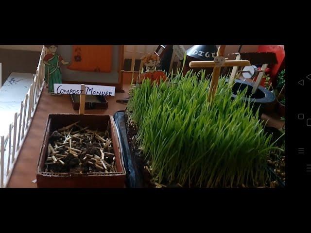 Science Project :  Model of organic farming for science exhibition.