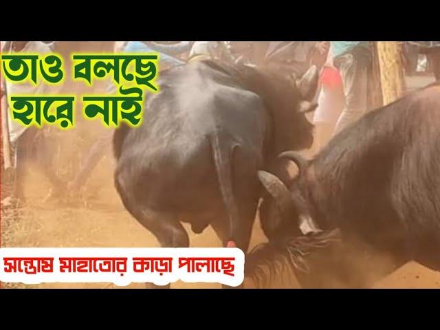 Mishirdidh Kara karai 2023.পানু সিং জিতেছে কিনা দর্শক দেখুন।