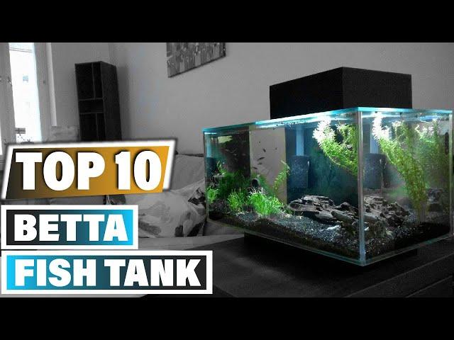 Best Betta Fish Tanks In 2024 - Top 10 New Betta Fish Tank Review