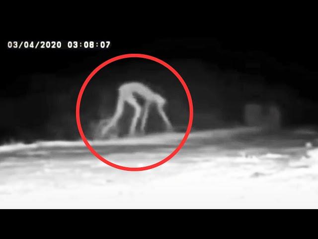 30 Most Mysterious Creatures Caught On Camera | Scary Comp V3