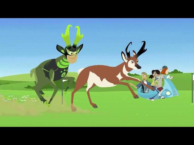 3-8 Братья Кратт - Гонка невероятных зверей / Wild Kratts - The Amazing Creature Race