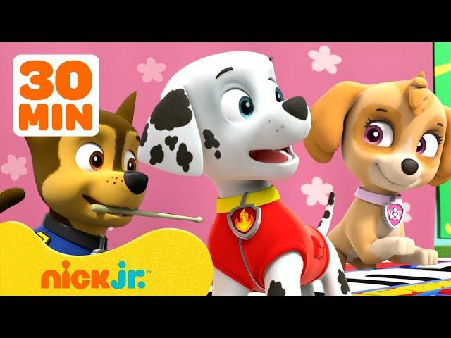 PAW Patrol Teamwork Rescues & Adventures! w/ Chase and Skye  30 Minute Compilation | Nick Jr.