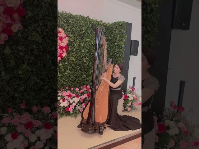 Nia Aladin harp performance pakai mic Seruni SEM 02