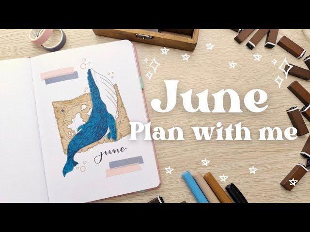  June 2024 Bullet Journal Plan With Me | Sea life