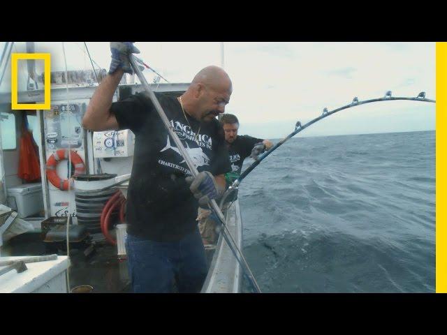 The Last Battle | Wicked Tuna: Catch of the Week