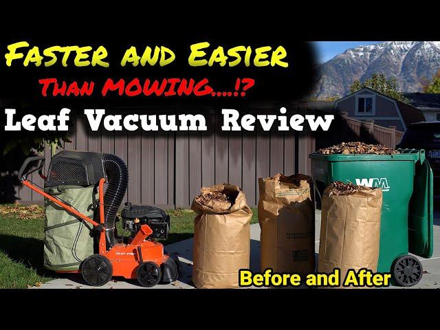 do You Really Need a Leaf Vacuum? DR Power Leaf and Lawn Vacuum Review