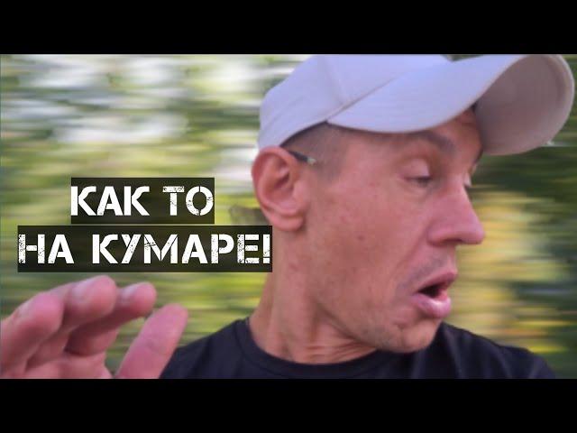 Шаман! Утром на КУМАРЕ!