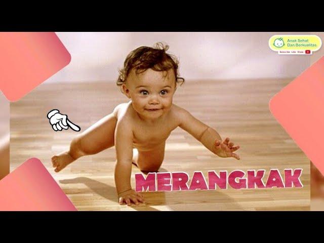 6 Tipe Anak Merangkak